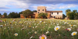  Surrounded by olive trees, Mas Coquells is a quiet 12th-century country house with an attractive garden and 3 terraces. It features beautiful views of the Costa Brava.